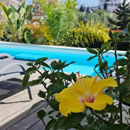 Ray Design 别墅 阿尔布费拉