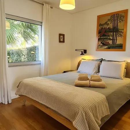 Ray Design 阿尔布费拉